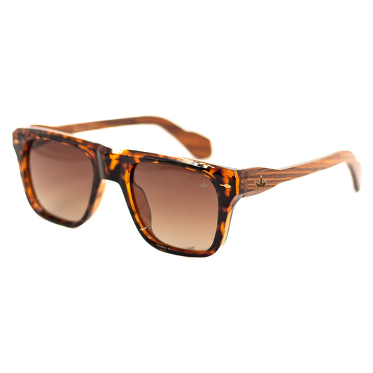ELVEN 5301 BROWN [POLARIZED]